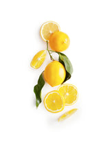 Load image into Gallery viewer, Meyer Lemon Shortbread Cookies | Rustic Bakery