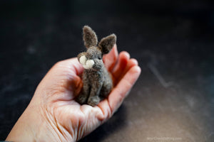 Bear Creek Felting | Rabbit Needle Felting Kit