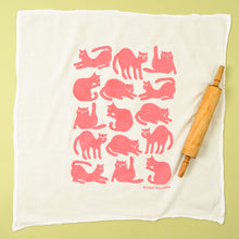 Load image into Gallery viewer, Flour Sack Dish Towels | Kei &amp; Molly