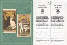Load image into Gallery viewer, Cats Rule the Earth Tarot | Abrams