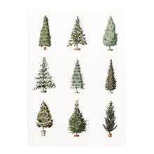 Load image into Gallery viewer, Laura Stoddart Christmas Card Boxed Sets | Hester &amp; Cook