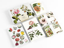 Load image into Gallery viewer, Correspondence Sets | The Pepin Press