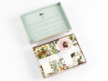 Load image into Gallery viewer, Correspondence Sets | The Pepin Press