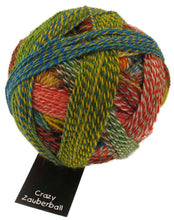 Load image into Gallery viewer, Zauberball Crazy | Schoppel