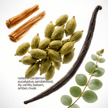 Load image into Gallery viewer, No 06 — Cardamom, Sandalwood, Vanilla, Refill | Siblings Candle Co.
