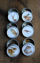 Load image into Gallery viewer, Forest Friends Mini Tins | NNK Press