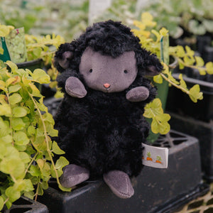 Wee Kiddo the Black Lamb | Bunnies By the Bay
