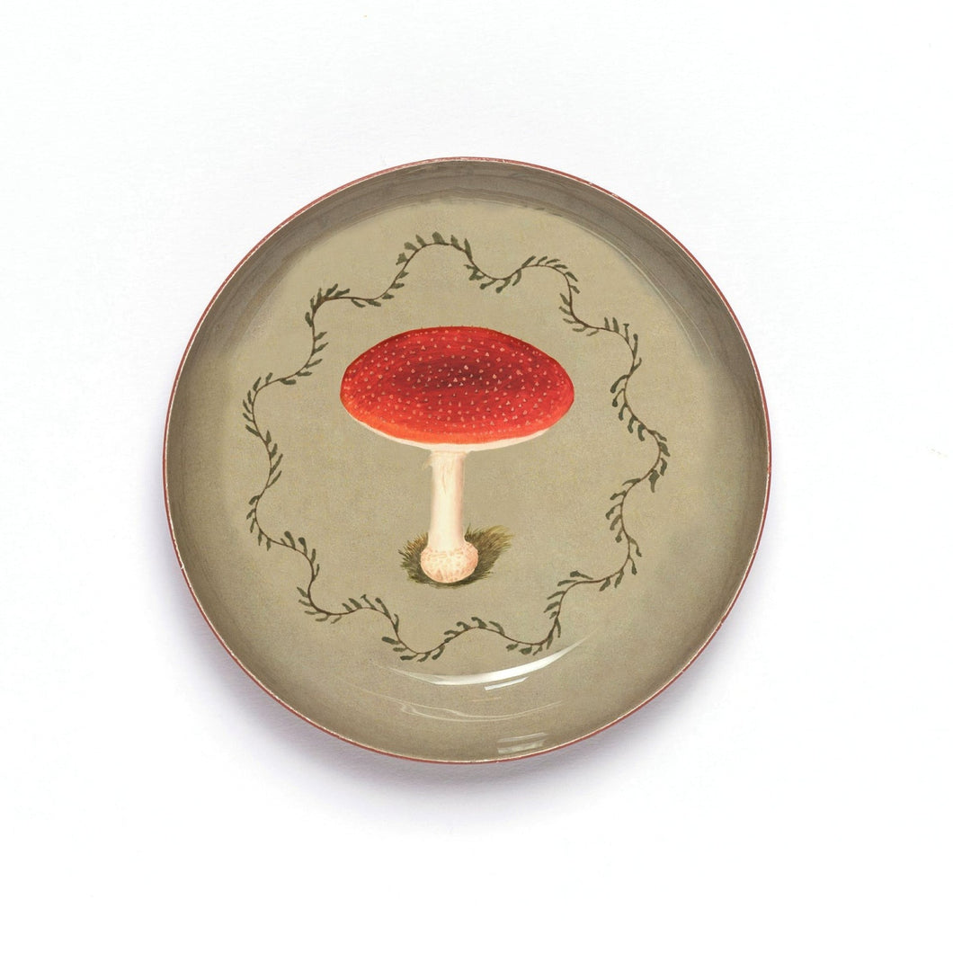 Mushroom Enamel Printed Tray | Roomytown