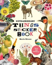 Load image into Gallery viewer, Extraordinary Things Sticker Book | Maria Rivan