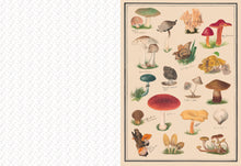Load image into Gallery viewer, Collage Compendium | Roomytown