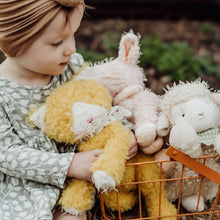 Load image into Gallery viewer, Bunnies By the Bay | Alley Cat