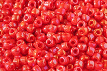 Load image into Gallery viewer, Size 6 Glass Beads | Debbie Abrahams