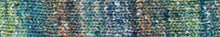 Load image into Gallery viewer, Tensan | Noro Yarns