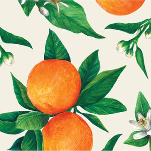 Napkins | Hester & Cook