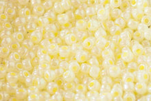 Load image into Gallery viewer, Size 6 Glass Beads | Debbie Abrahams