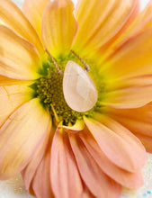 Load image into Gallery viewer, Soul-Full of Light Necklace | SoulKu