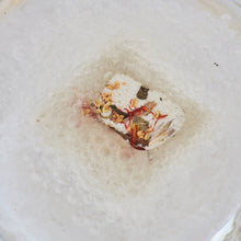 Load image into Gallery viewer, Expedition Shower Steamer Gift Set | Even Keel