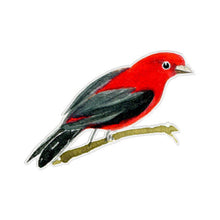 Load image into Gallery viewer, Stickers | Felix Doolittle