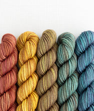 Load image into Gallery viewer, Merino DK Party of Five | Sweet Georgia