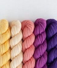 Load image into Gallery viewer, Merino DK Party of Five | Sweet Georgia