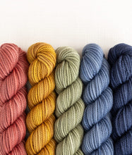Load image into Gallery viewer, Merino DK Party of Five | Sweet Georgia