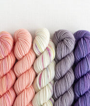 Load image into Gallery viewer, Merino DK Party of Five | Sweet Georgia