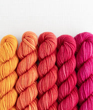 Load image into Gallery viewer, Merino DK Party of Five | Sweet Georgia