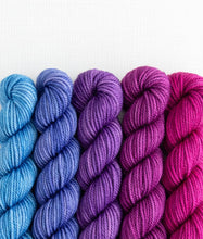 Load image into Gallery viewer, Merino DK Party of Five | Sweet Georgia