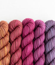 Load image into Gallery viewer, Merino DK Party of Five | Sweet Georgia