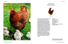 Load image into Gallery viewer, Backyard Chicken Keeper&#39;s Bible | Abrams