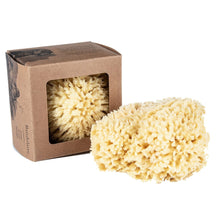 Load image into Gallery viewer, Wool Bath Sponge | Baudelaire
