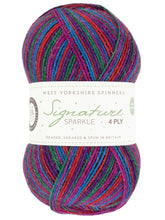 Load image into Gallery viewer, WYS Signature Sparkle 4ply | West Yorkshire Spinners