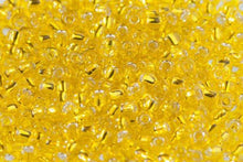 Load image into Gallery viewer, Size 6 Glass Beads | Debbie Abrahams