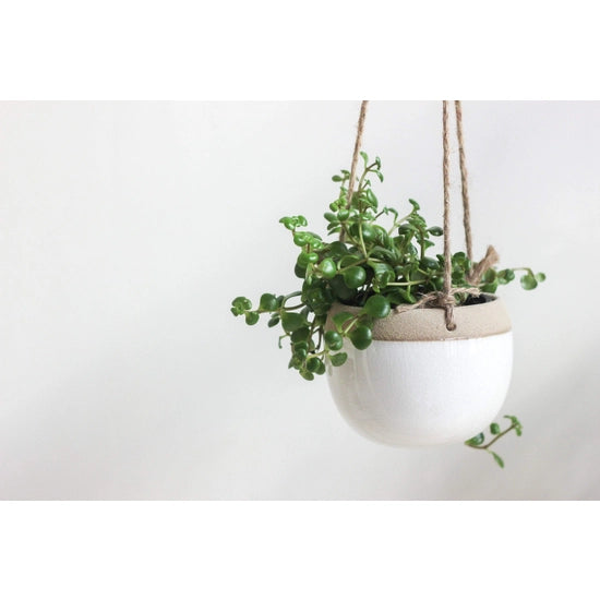 Boho Ceramic Hanging Planter Pot in White and Beige | Sprout & About