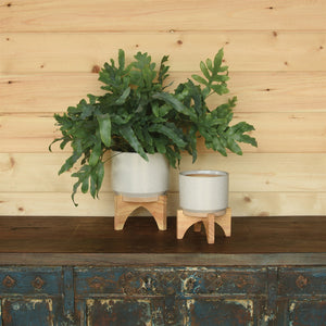 One small and one large HomArt Ames Cachepot in off white and gray on wooden stands. Both on dark wooden table top and against light tan wooden wall. Large pot to left contains large green fern