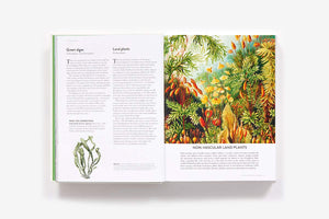 The Botanical Bible: Plants, Flowers, Art, Recipes & Other Home Uses | Sonya Patel Ellis