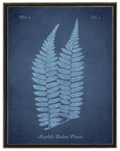 Load image into Gallery viewer, Blue Fern on Navy Distressed Background | Antique Curiosities