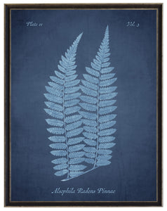 Blue Fern on Navy Distressed Background | Antique Curiosities