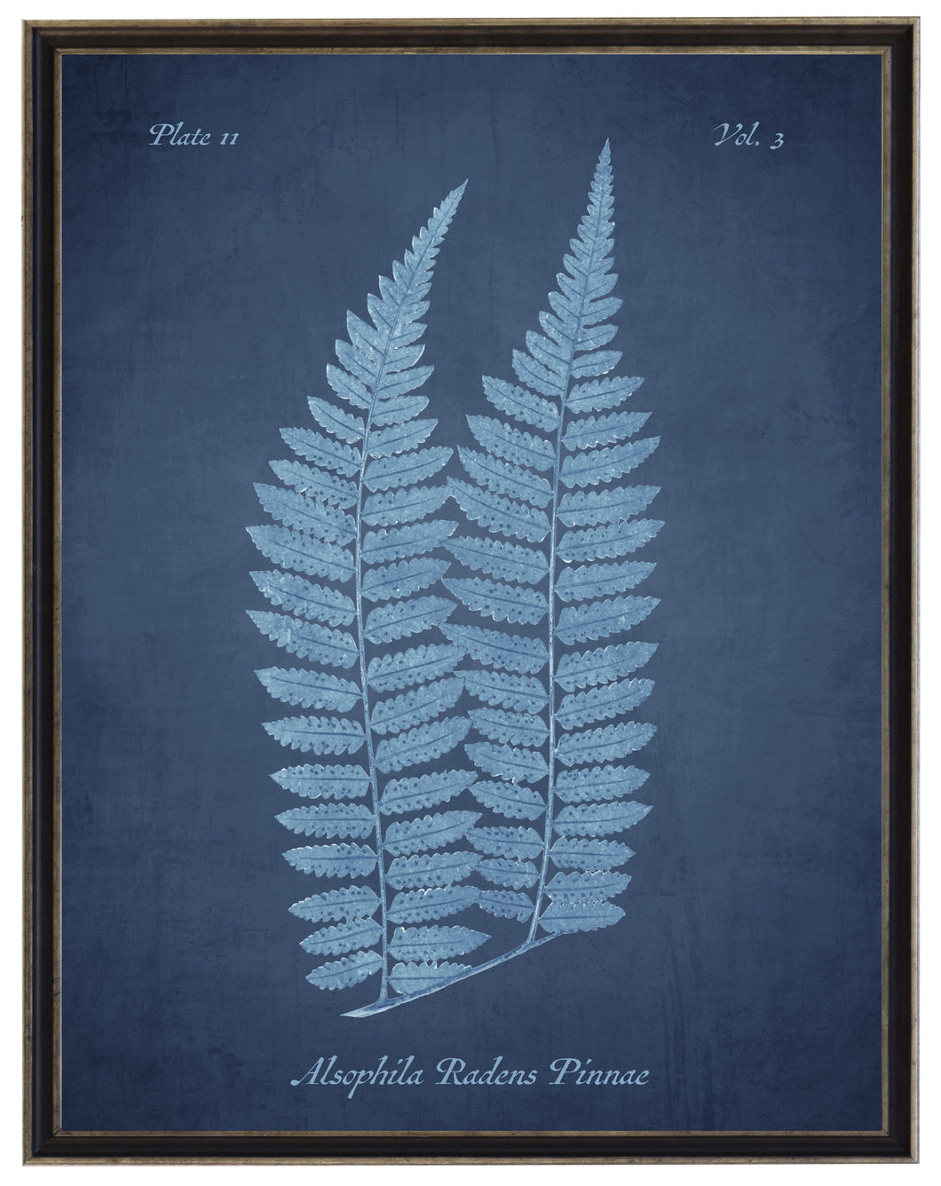 Blue Fern on Navy Distressed Background | Antique Curiosities