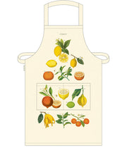 Load image into Gallery viewer, Vintage Aprons | Cavallini &amp; Co.
