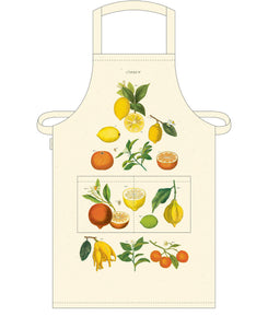 Vintage Aprons | Cavallini & Co.