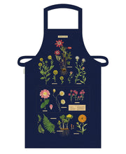 Load image into Gallery viewer, Vintage Aprons | Cavallini &amp; Co.