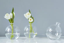 Load image into Gallery viewer, Clear Sphere Vase | etuHOME