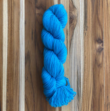 Load image into Gallery viewer, KPM Koigu Premium Merino Yarn | KOIGU