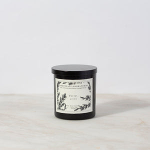 Forest Candle | Stone Hollow Farmstead
