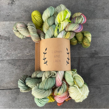 Load image into Gallery viewer, Mini Sock Fade Sets | Lichen and Lace