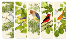 Load image into Gallery viewer, Bookmarks | Felix Doolittle