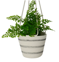 Load image into Gallery viewer, Hanging Planter | Mia Melange