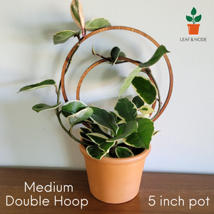 Wood Double Hoop Indoor Plant Trellis | Leaf & Node