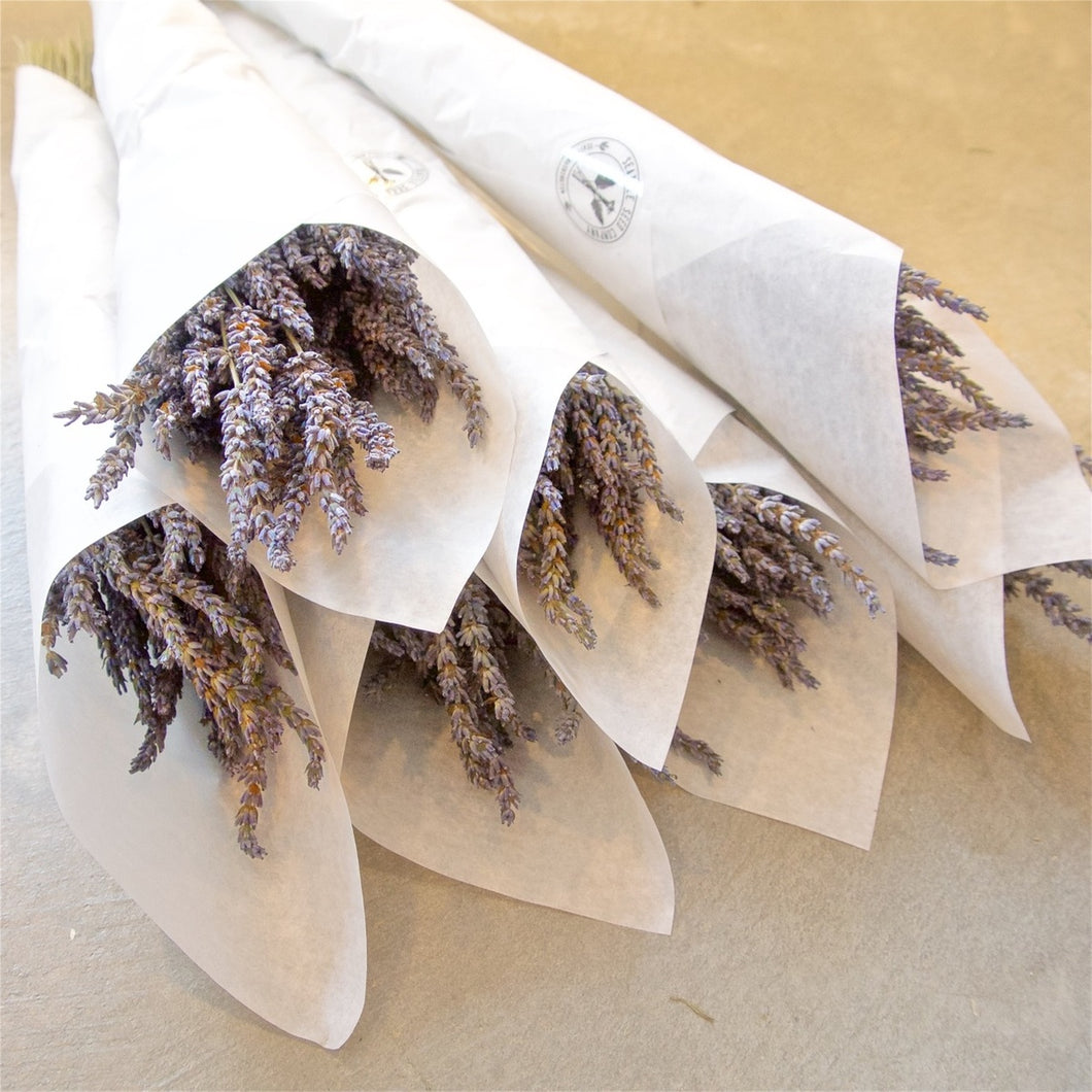 Dried French Lavender Bundle | Seattle Seed Co.